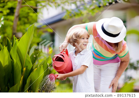 Woman and child gardening. Grandmother and kid. Woman and child gardening. Grandmother and kid. 89137615