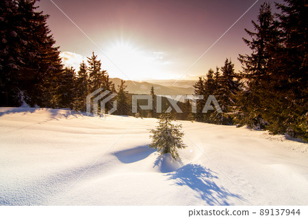 Wonderful wintry landscape. Winter mountain forest. frosty trees under warm sunlight. picturesque nature scenery. creative artistic image. instagram filter. winter holyday background. 89137944