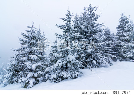 Beautiful winter landscape with snow covered trees. Winter mountains. 89137955