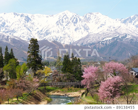 大出公園櫻花和北阿爾卑斯 大出公園櫻花和北阿爾卑斯 89138455
