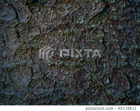 Colorful saturated bark of wood. The woody texture 89138611
