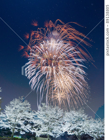 埼玉縣東秩父村虎山千本櫻驚喜煙花匯演 89138805