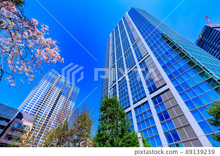 NBF白金塔，東京港區白金的城市景觀 89139239
