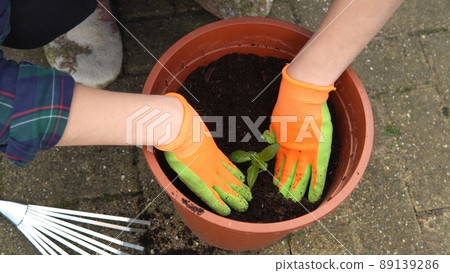 Happy Preschool little girl kid Daughter wear works gloves humic boots planting flowers in pot in garden. Child Helping mother outside. Family Nature gardering, environmental Spring Summer concept Happy Preschool little girl kid Daughter wear works gloves humic boots planting flowers in pot in garden. Child Helping mother outside. Family Nature gardering, environmental Spring Summer concept 89139286