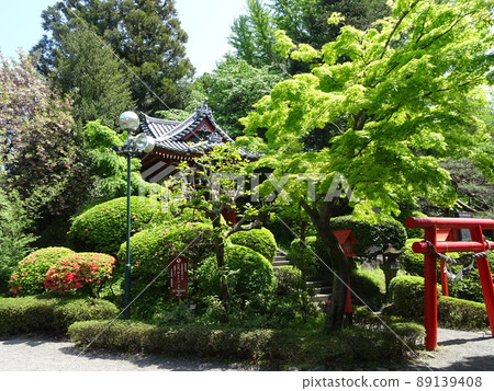 Fresh green shrine and torii Fresh green shrine and torii 89139408