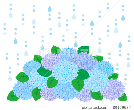 Hydrangea vector illustration Hydrangea vector illustration 89139684