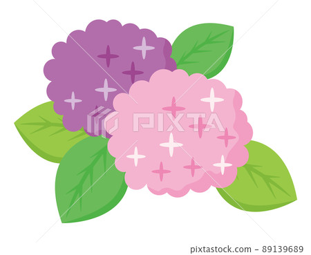 Hydrangea vector illustration Hydrangea vector illustration 89139689