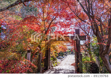 Suzuka City, Mie Prefecture, the gate of Ishiyakushiji Temple with beautiful autumn leaves Suzuka City, Mie Prefecture, the gate of Ishiyakushiji Temple with beautiful autumn leaves 89139768