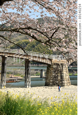 岩國市錦帶橋和櫻花 岩國市錦帶橋和櫻花 89140254