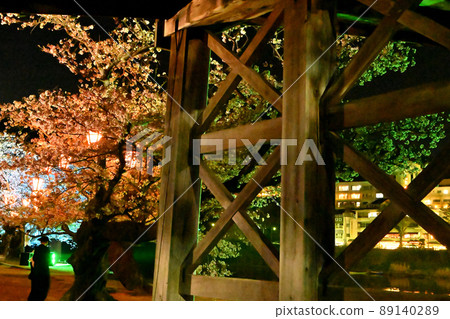 Night view of Kintaikyo Bridge and cherry blossoms in Iwakuni City 89140289
