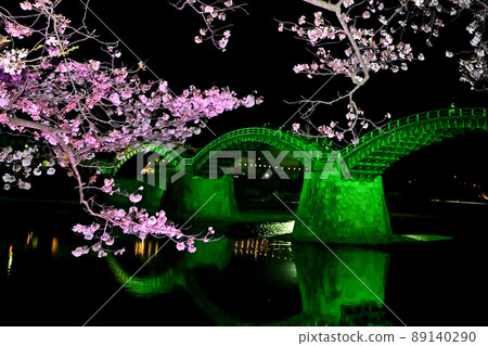 岩國市錦帶橋和櫻花的夜景 89140290