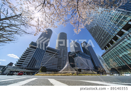 April 4th year of Reiwa Nagoya Station Skyscrapers Cherry blossoms in full bloom 89140355