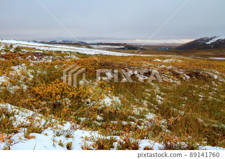 View of the tundra and hills. In the distance, there is a working village of miners near a gold ore deposit 89141760