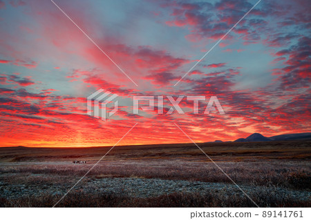 Amazing arctic landscape 89141761