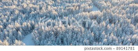 Aerial view of snow-covered paths in the winter forest. Top view of larch trees illuminated at sunrise. 89141781