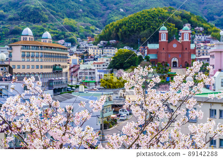 Urakami Cathedral and Sakura [Nagasaki City, Nagasaki Prefecture] 89142288