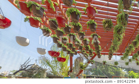 Panorama Pergola roof with hanging sedum succulents in a pot with hooks 89142294