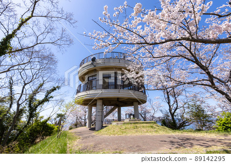 Natural and tourist image of cherry blossoms at the summit of Mt. Sekizen (Iwagi Island, Ehime Prefecture) Natural and tourist image of cherry blossoms at the summit of Mt. Sekizen (Iwagi Island, Ehime Prefecture) 89142295
