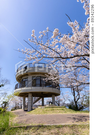 Mountain scenery of cherry blossoms and the observation deck at the summit of Mt. Sekizen (Iwakijima, Ehime Prefecture) Mountain scenery of cherry blossoms and the observation deck at the summit of Mt. Sekizen (Iwakijima, Ehime Prefecture) 89142296