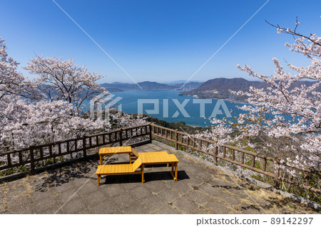 關前山山頂的櫻花(愛媛縣岩木島) 關前山山頂的櫻花(愛媛縣岩木島) 89142297