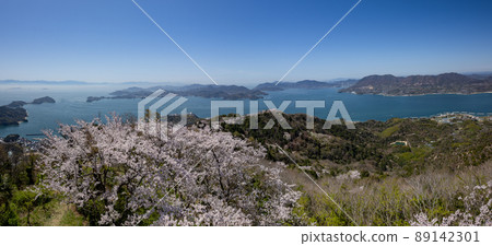 Mountain scenery of cherry blossoms at the summit of Mt. Sekizen (Iwagi Island, Ehime Prefecture) Mountain scenery of cherry blossoms at the summit of Mt. Sekizen (Iwagi Island, Ehime Prefecture) 89142301