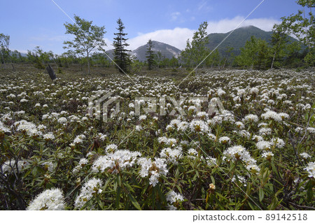 Isotsutsuji社區（北海道門徒鎮） 89142518