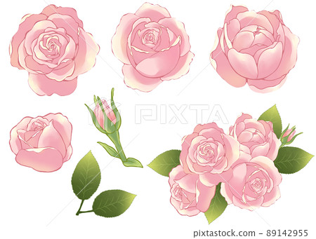 Gentle color rose parts and bouquet 89142955