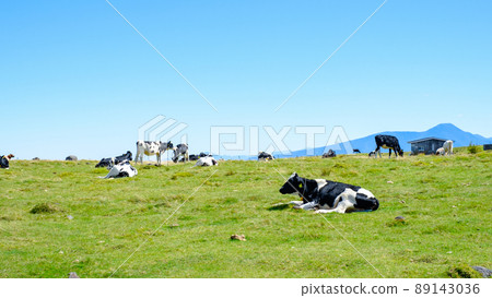 Mikigahara ranch 89143036