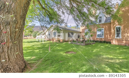 Panorama Large tree at the backyard with ropes and colorful climbing holds on the trunk Panorama Large tree at the backyard with ropes and colorful climbing holds on the trunk 89143305