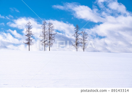 “北海道”輕度七山/冬季美瑛 89143314