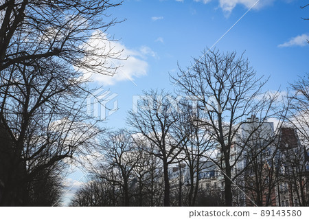 Paris winter cityscape Paris winter cityscape 89143580