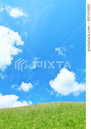 Refreshing blue sky and fresh green meadow landscape Refreshing blue sky and fresh green meadow landscape 89143860