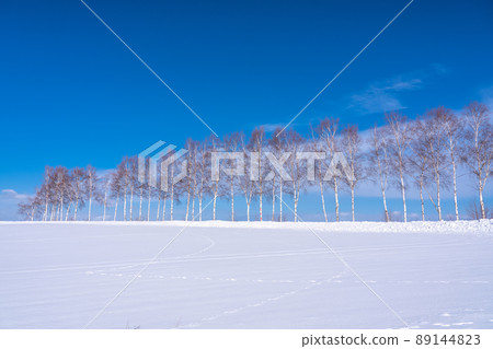 《北海道》冬季美瑛、樺樹和雪原地 89144823