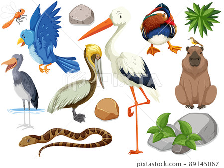 Different kinds of wild animals collection 89145067