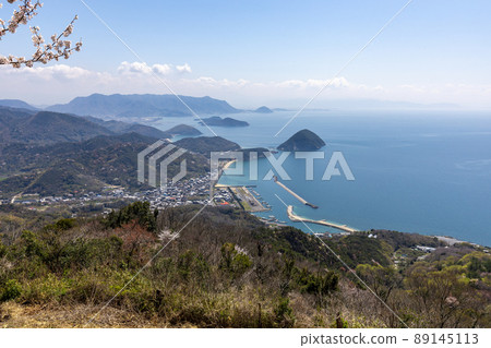 View from the summit of Mt. Shiudeyama (Mitoyo City, Kagawa Prefecture) 89145113