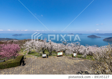 Shiudeyama的櫻花和山頂的景色（香川縣水豐市） 89145127
