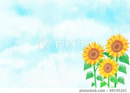 插圖素材：向日葵花田和藍天背景手繪水彩3張/多張 89145201