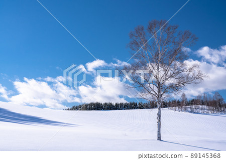 “北海道”輕度七山/冬季美瑛 “北海道”輕度七山/冬季美瑛 89145368