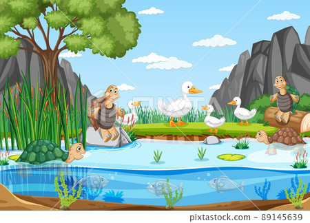 Nature scene with ducks and tortoises in the pond Nature scene with ducks and tortoises in the pond 89145639