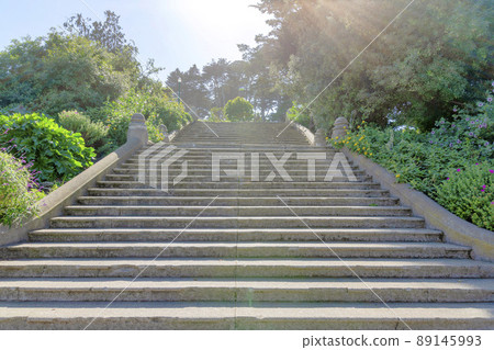 Concrete perron staircase with plants and trees on both sides in San Francisco, California 89145993