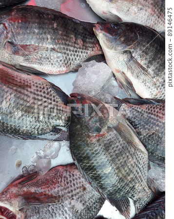 Group of Nile Tilapia ( Oreochromis niloticus ) fish on ice at  market, Thailand 89146475