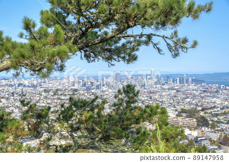 View of the San Francisco community from an apartment complex in California View of the San Francisco community from an apartment complex in California 89147958