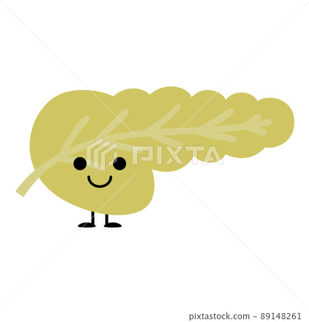可愛的內臟胰腺 89148261