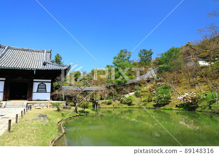 春天的高台寺花園 新鮮的綠色和杜鵑花 89148316