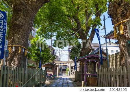 The approach to Abeoji Shrine Early summer [Abeno-ku, Osaka] 89148395