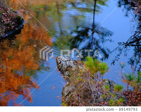 Ripples of the Besshi Copper Mine River 89149793