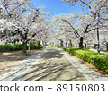 Cherry Blossoms	 89150803