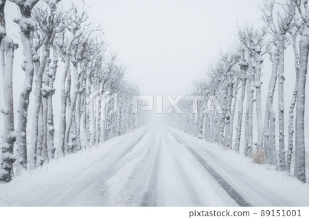 The road leading to the snow The road leading to the snow 89151001