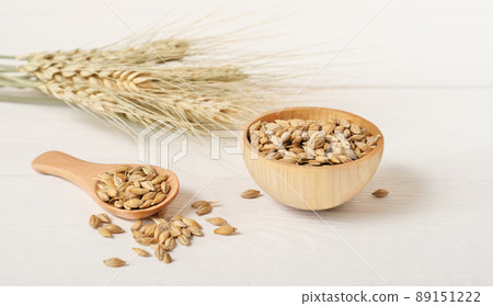 barley grain in a bowl and in wooden spoon next to barley spikes on a table. cereal ears. beer ingredient barley grain in a bowl and in wooden spoon next to barley spikes on a table. cereal ears. beer ingredient 89151222