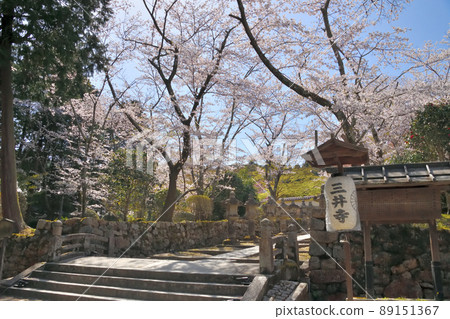 2022年春季 三井寺院內和櫻花 2022年春季 三井寺院內和櫻花 89151367